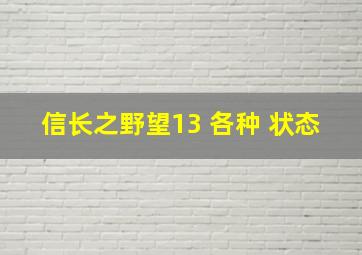 信长之野望13 各种 状态